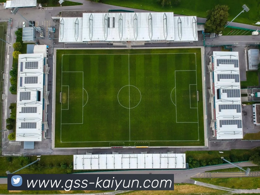 开云APP 高清赛事图